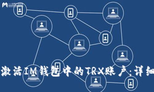 如何激活IM钱包中的TRX账户:详细指南