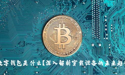 穿戴式数字钱包是什么?深入解析穿戴设备的未来趋势与应用