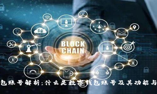 数字钱包账号解析:什么是数字钱包账号及其功能与安全性