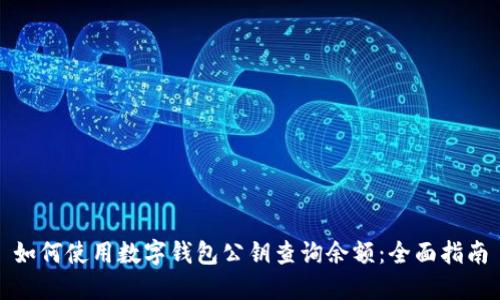 如何使用数字钱包公钥查询余额:全面指南