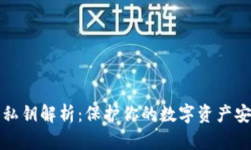 数字货币钱包私钥解析:保护你的数字资产安全的重要指南
