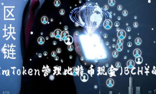 如何使用ImToken管理比特币现金(BCH)的全面指南