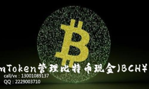 如何使用ImToken管理比特币现金(BCH)的全面指南