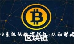 如何开发一个基于EOS系统的数字钱包：从初学者