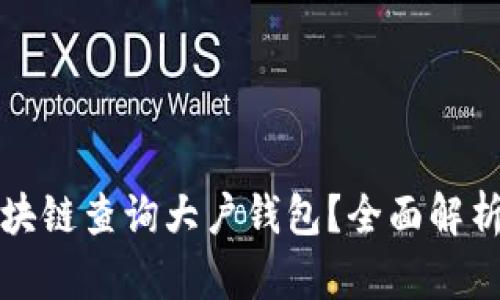 如何通过区块链查询大户钱包？全面解析与实用技巧