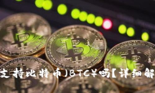 imToken钱包支持比特币(BTC)吗?详细解读与使用指南