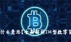 数字货币IM型是什么意思?全面解析IM型数字货币