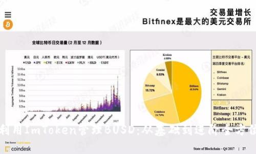 如何利用ImToken管理BUSD:从基础到进阶全方位指南