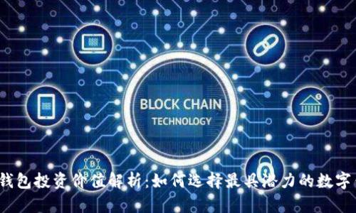 数字钱包投资价值解析:如何选择最具潜力的数字钱包?