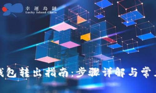 农行数字钱包转出指南:步骤详解与常见问题解答