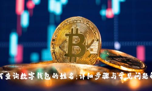 如何查询数字钱包的姓名:详细步骤与常见问题解答