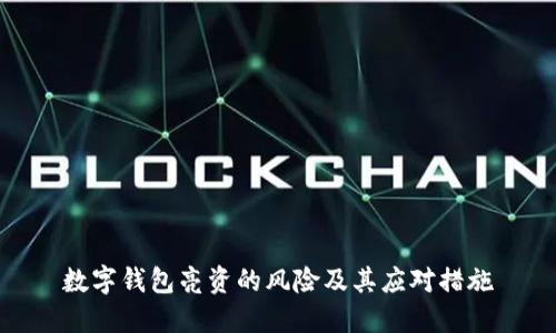 数字钱包亮资的风险及其应对措施