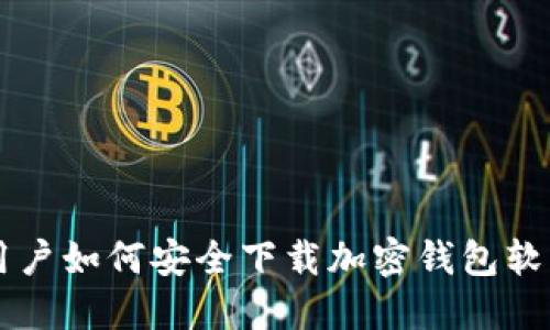 国内用户如何安全下载加密钱包软件指南