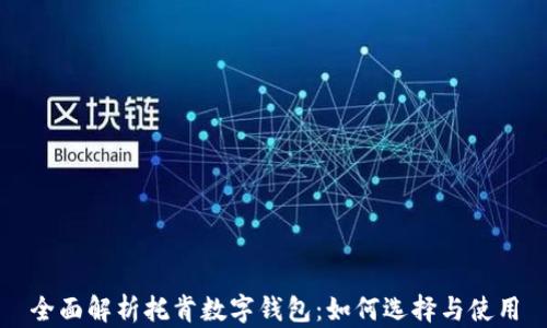 全面解析托肯数字钱包:如何选择与使用