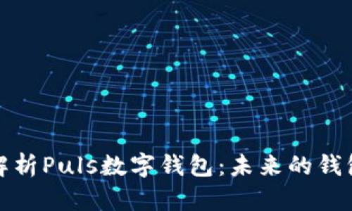 深入解析Puls数字钱包:未来的钱包选择