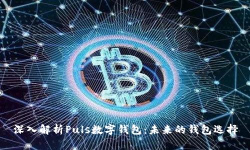 深入解析Puls数字钱包:未来的钱包选择