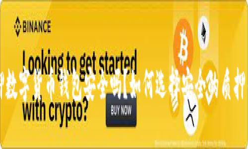 质押数字货币钱包安全吗?如何选择安全的质押钱包