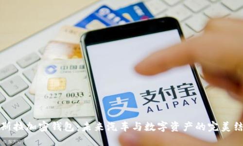 特斯拉加密钱包:未来汽车与数字资产的完美结合