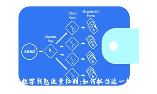 : 数字钱包流量红利:如何抓住这一机遇?