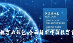 解密DCEP数字大钱包:全面解析中国数字货币的未