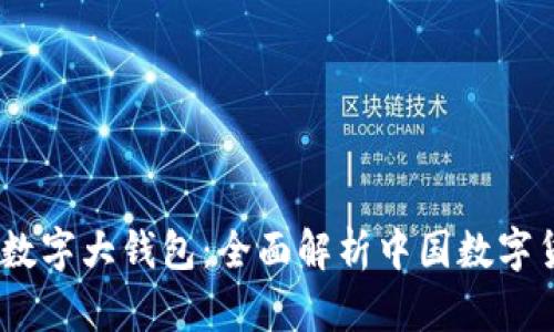 解密DCEP数字大钱包:全面解析中国数字货币的未来