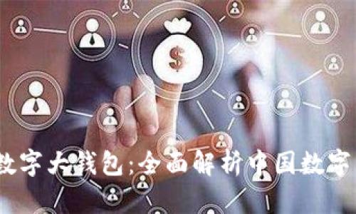 解密DCEP数字大钱包:全面解析中国数字货币的未来