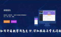 上海如何开通数字钱包支付:详细指南与常见问