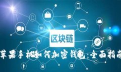 苹果手机如何加密钱包:全面指南