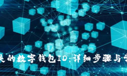如何找回丢失的数字钱包ID:详细步骤与常见问题解析